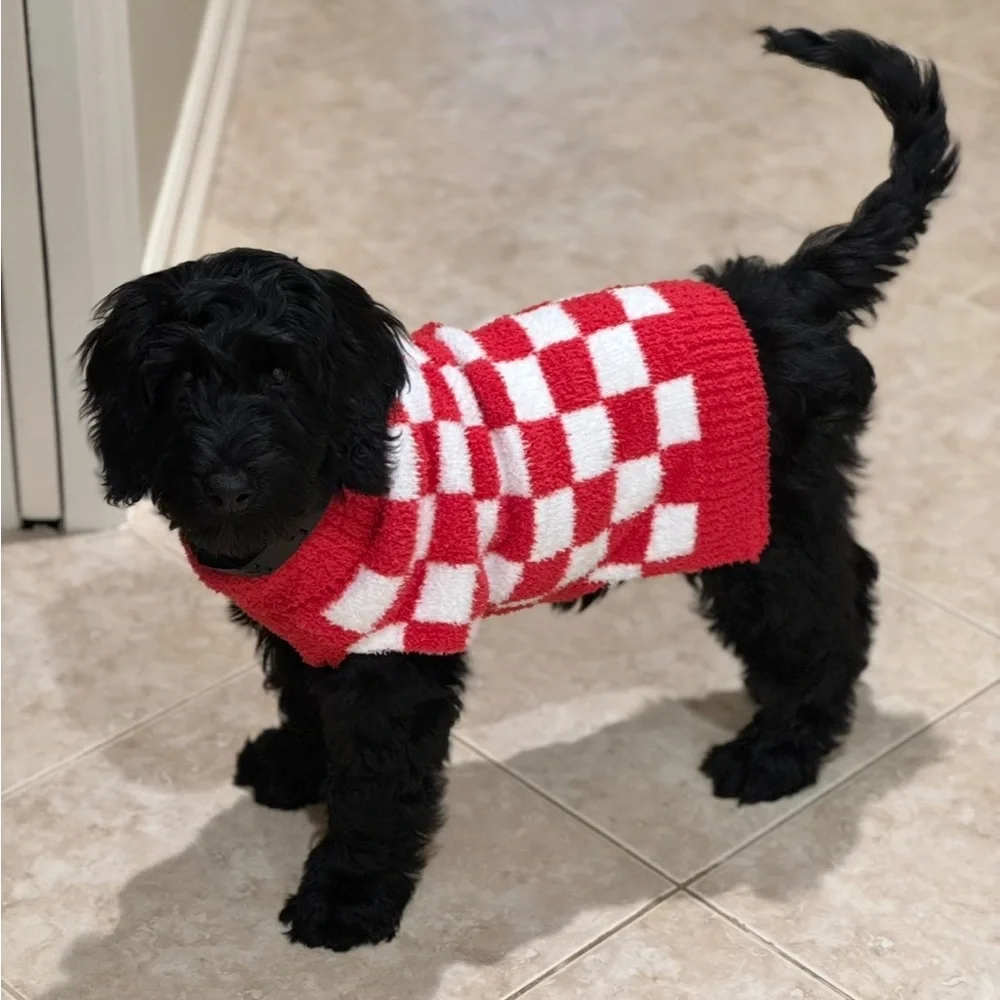 Dog Christmas Sweater Pullover Checkerboard Red White Size L